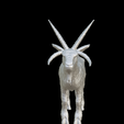 Capture-d’écran-2023-07-06-à-10.45.52.png goat