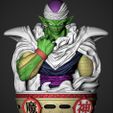 55.jpg Piccolo Bust