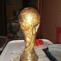 World Cup Replica Solid