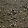 woodland_terrain_render2.jpg Forest Floor PBR Texture