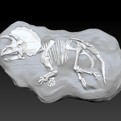 triceratops-1c.png Fichier OBJ Triceratops Fossil Rock - Squelette 3D du dinosaure Triceratops・Plan imprimable en 3D à télécharger