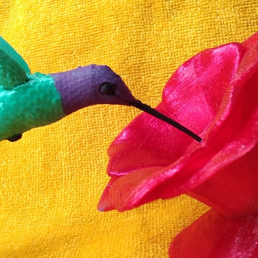 IMG_20240701_145428905.jpg Kolibri