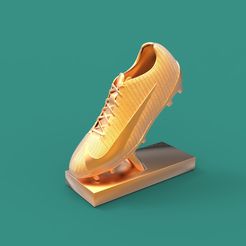 untitled.111.jpg Nike shoe trophy