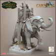 release_elephant_battle_b1.jpg War Elephant - Carthaginian Punic Wars