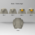 versions.png Caja del águila
