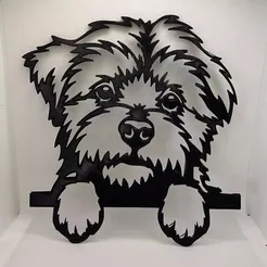 4447a179-da6f-47e7-856a-07753ed30dea.jpeg.webp Maltese Bichon Maltese dog decoration
