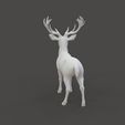 Deer_1.4.jpg Fallow Deer Sculpture