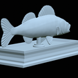 zander-statue-4-open-mouth-1-36.png fish zander / pikeperch / Sander lucioperca  open mouth statue detailed texture for 3d printing