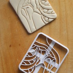 IMG_2218.jpg Fichier STL CALLET CUTTER - Radiographie anatomique・Design pour imprimante 3D à télécharger