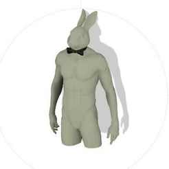 Portada.jpg STL file Rabbit With Sensual Position・3D printer design to download