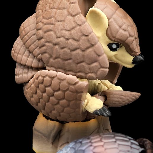 1000007785.jpg Armadillo - Articulated Cute