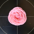 IMG_05.png Rose | 3D Printable Rose ©