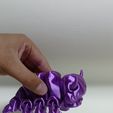 e337a6d8-22fe-4376-866c-58c474f6824d.jpg Archivo STL Flying Bison Flexi・Modelo para descargar e imprimir en 3D