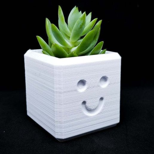 LRM_EXPORT_20171213_170945.jpg Happy Planter / 3D printed planter