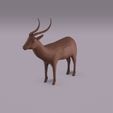 Antelope_R0002.jpg STL file Antelope・3D printing template to download, rmilushev