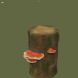 IMG_7628.png Ganoderma lucidum - Reishi (mushroom)