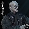 040924-StarWars-Palpatine-Bust-Image-003.jpg PALPATINE BUST - TESTED AND READY FOR 3D PRINTING