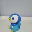 20230902_195904-1.jpg Piplup Multicolor