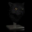 Tiger_PortratitBlack0001.jpg Tiger portrait with stand, base and wall mounts 3D STL print file High-Polygon