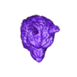 skull_with_wolf_scalp.obj Skull wolf scalp