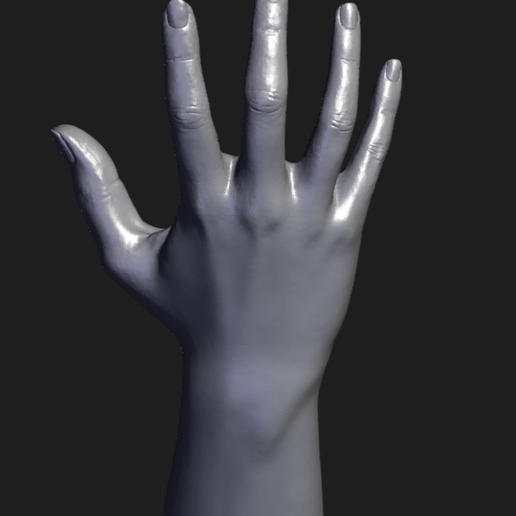 hand01.png Main
