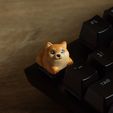 Dogys_keycaps-07.jpg Doggies keycaps - Mechanical Keyboard