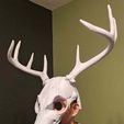 Wendigo_Mask.jpg wendigo Halloween mask