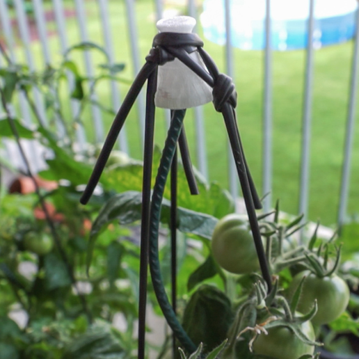 Capture d’écran 2017-10-31 à 16.12.22.png Free STL file Tomato Greenhouse for Pot Growing Tomatos・3D printer model to download, ewap