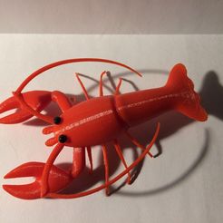 Lobster02.jpg Lobster