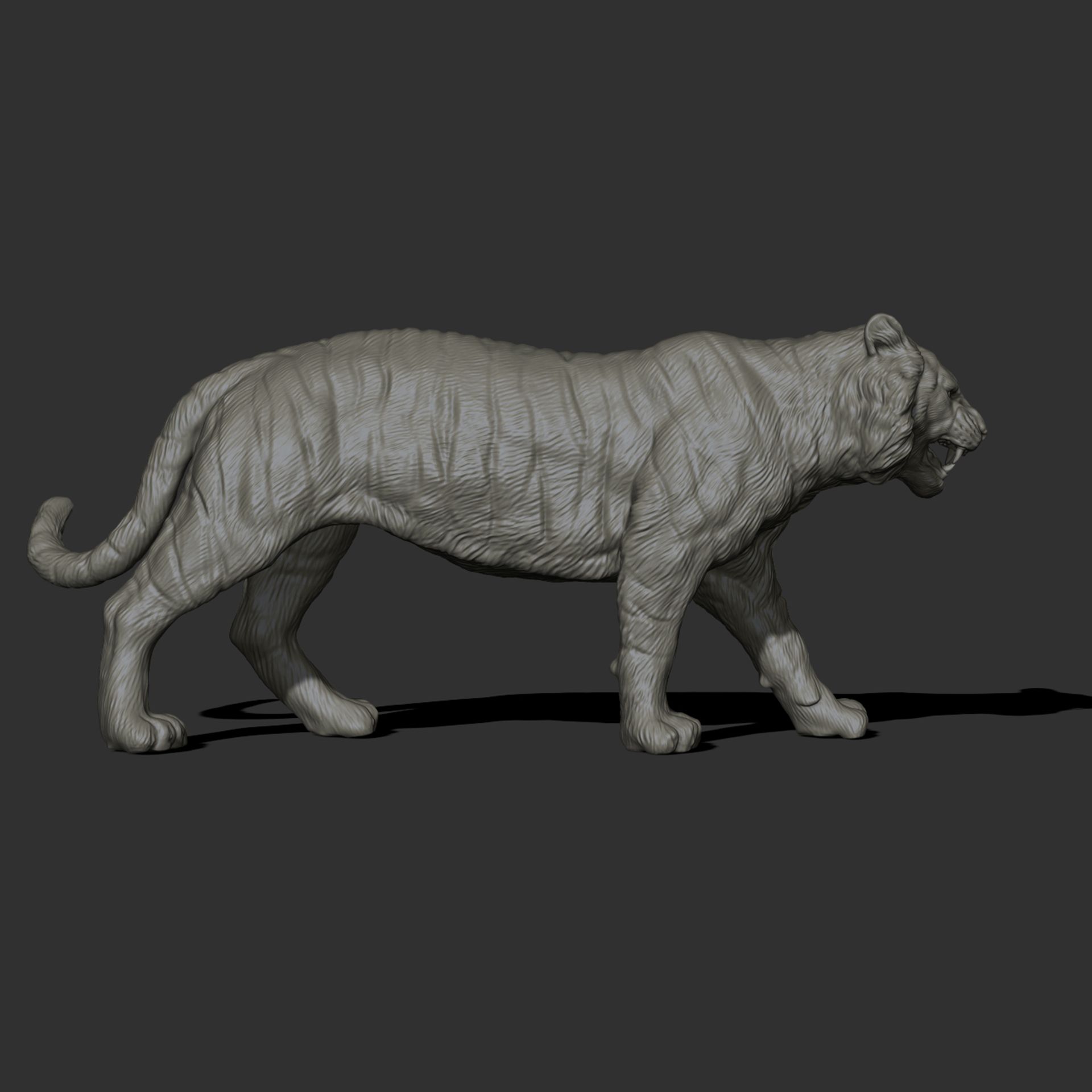 40.jpg Descargar archivo OBJ El tigre que camina • Modelo para la impresión en 3D, guninnik81