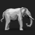 1.9.jpg Elephant