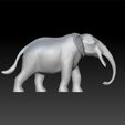 ele11.jpg Elephant