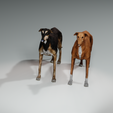 untitled.png DOG - DOWNLOAD Greyhound dog 3d model - Animated CANINE PET GUARDIAN WOLF HOUSE HOME GARDEN POLICE - 3D printing Greyhound DOG DOG DOG