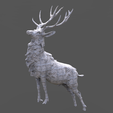 untitled.782.png Deer King low res