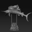 ZZZZ.jpg Archivo STL gratis Istiophorus・Modelo imprimible en 3D para descargar