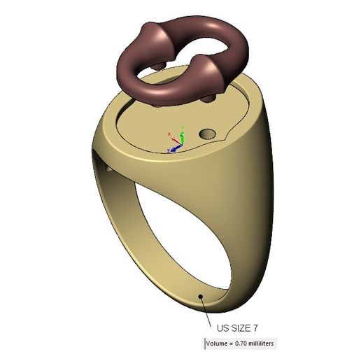 volume1.jpg Bone link insert signet ring US sizes 7to10 3D print model