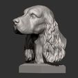 Spaniel7.jpg English Cocker Spaniel 3D print model