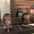 117154554_3146240268823961_3034504162813991873_n.jpg Critters