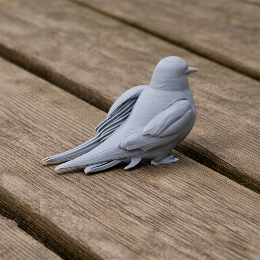 Arctic Tern