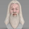untitled.1739.jpg Dumbledore from Harry Potter bust for full color 3D printing