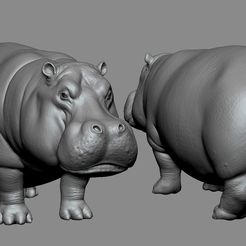 003.jpg STL file Hippo・Model to download and 3D print, F-solo