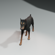 11.png DOG DOG DOWNLOAD Dóberman 3d model Animated for Blender - fbx - unity - maya - unreal - c4d - 3ds max - 3D printing DOBERMAN DOG DOG PET CANINE POLICE WOLF DOG