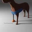 DogProstethic3-theInnerway.png dog walking prosthesis