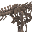 13.png Alamosaurus: Complete skeleton