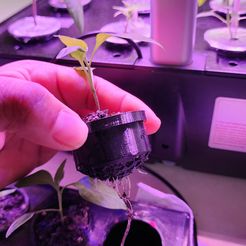 Récipient de démarrage des semences