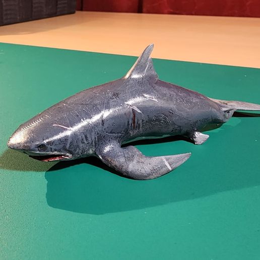 WhatsApp-Image-2024-05-25-at-02.23.02-2.jpeg Shark from Jaws