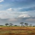 kili.jpg Kilimandjaro