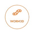 WORM3D