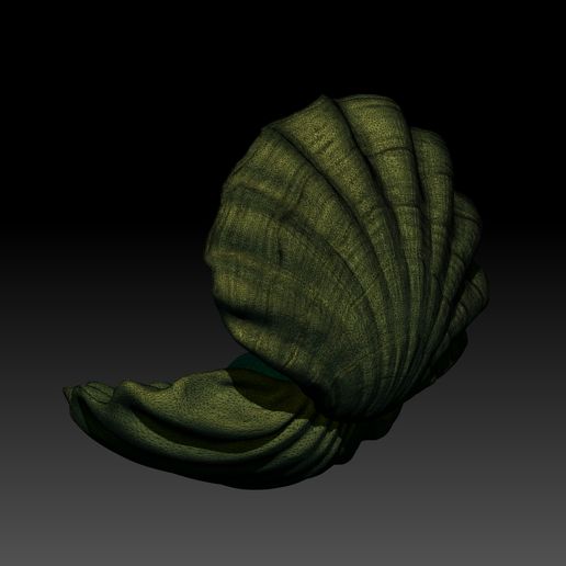 shell-02-mesh.jpg Ostra