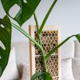DSC01875-2.jpeg CLIMBIT HoneyComb — модульная система для выращивания мха на опорах с автополиванием (без опор, с возможностью штабелирования)